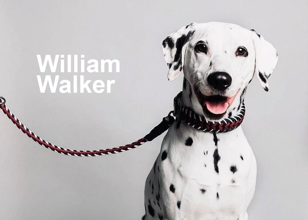 Wir präsentieren: William Walker