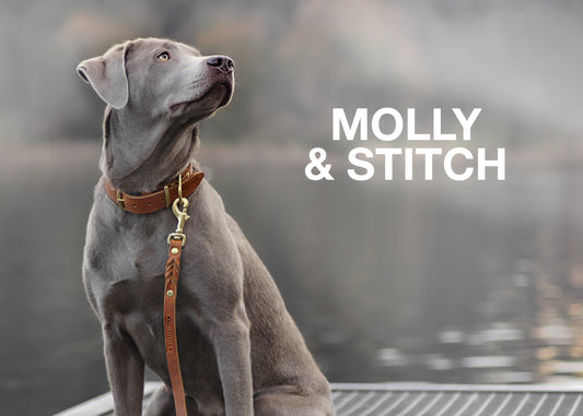Wir präsentieren: Molly & Stitch